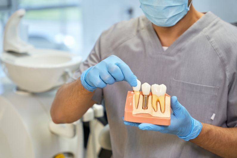 Dentist showing the anatomy of dental implant